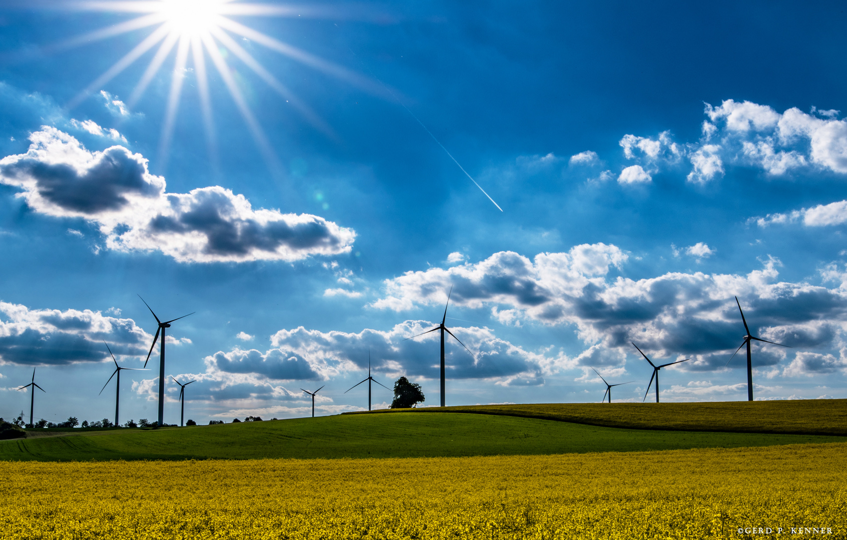 Windräder in Frühlings-Fluren