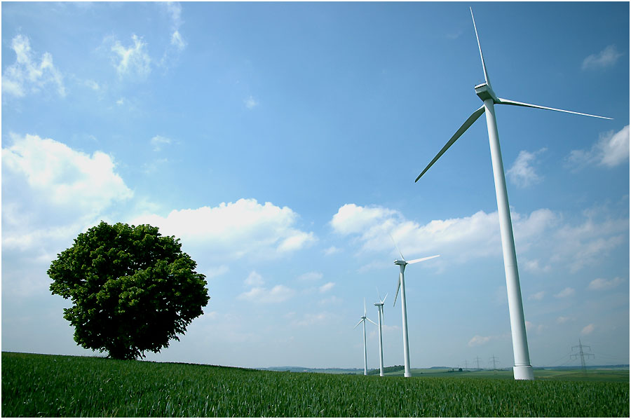 Windräder in Hergarten