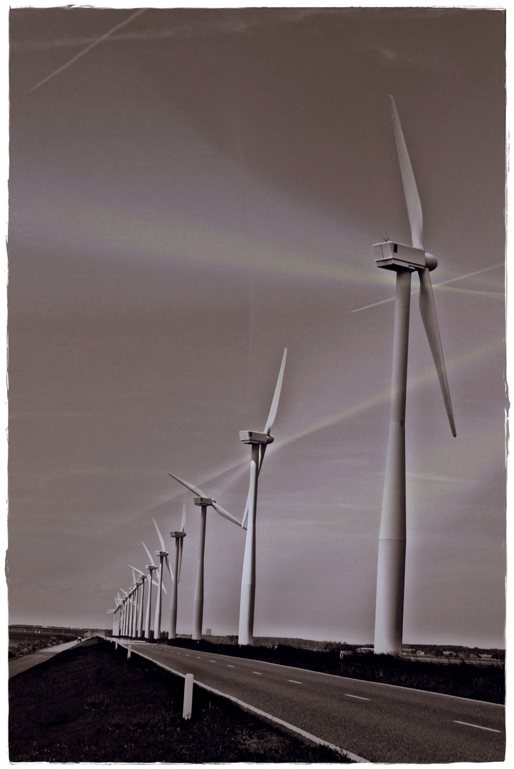 Windräder in Holland