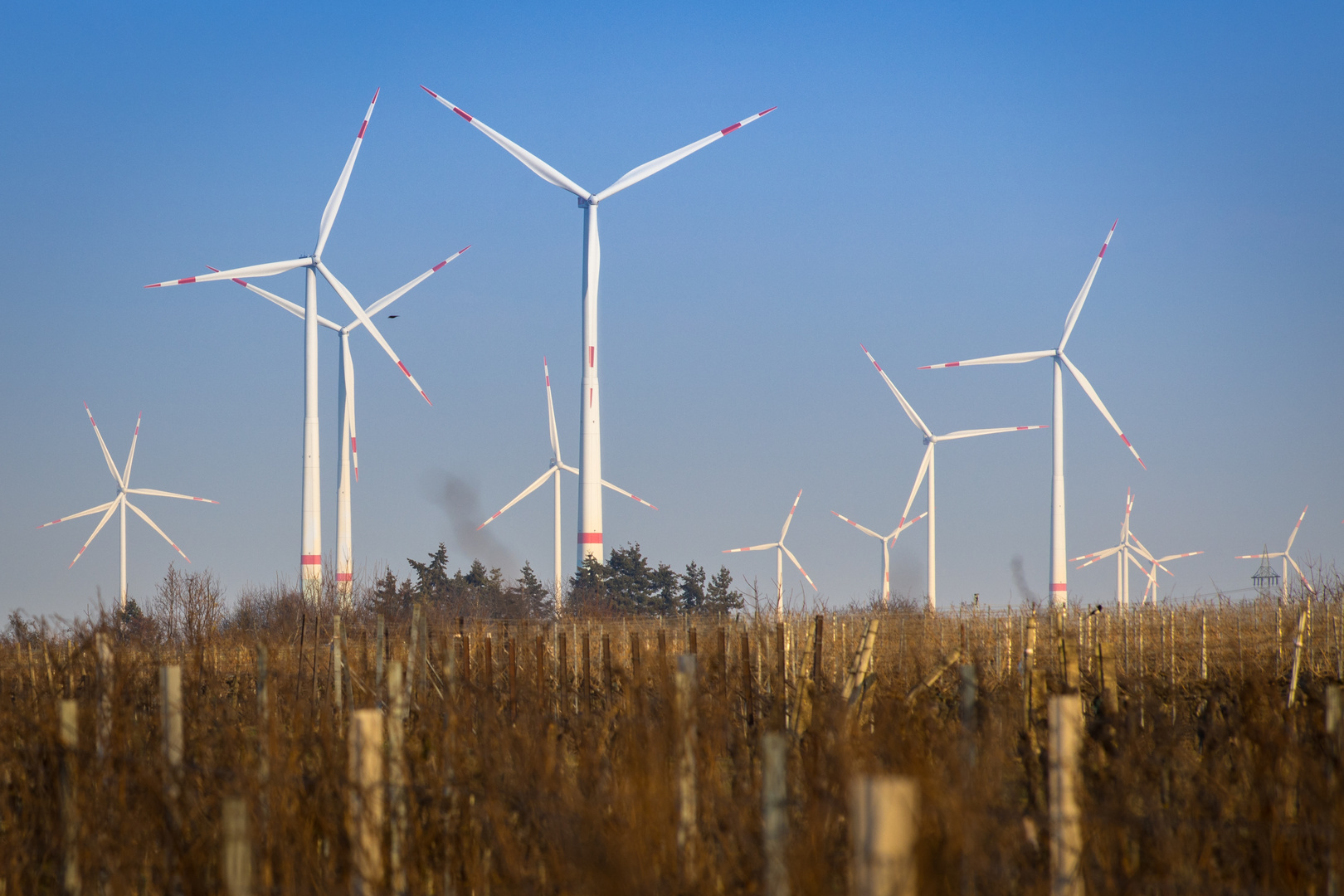 Windräder in Landau