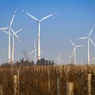 Windräder in Landau