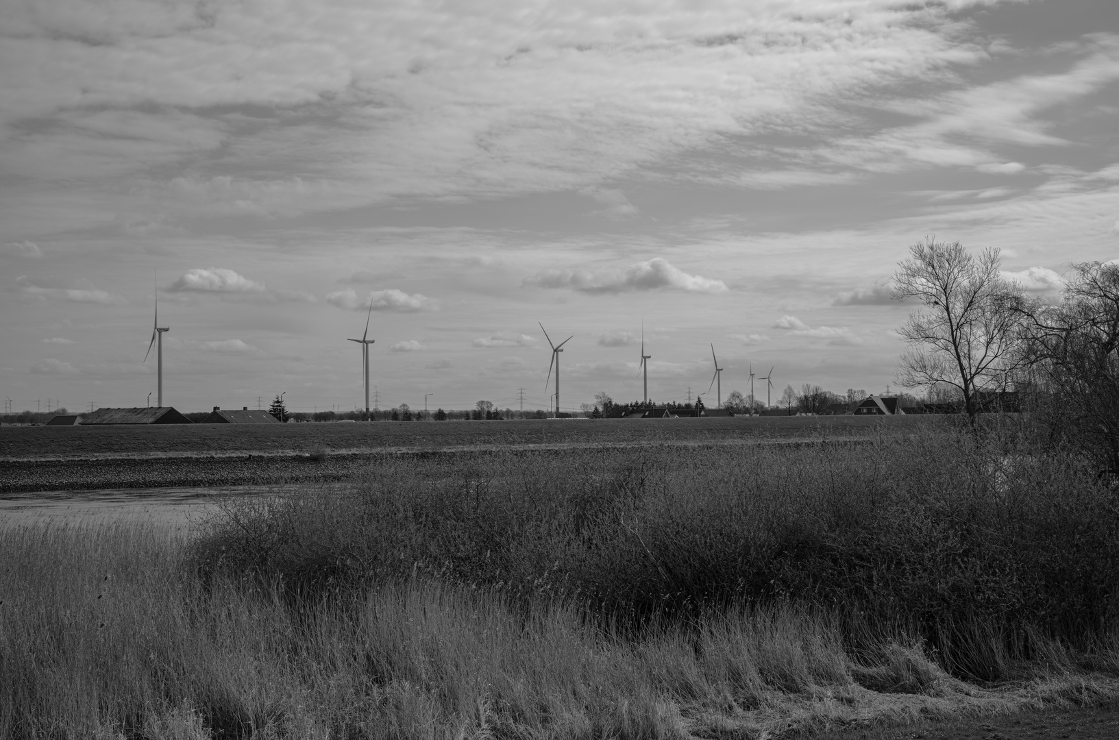 Windräder in Ochsenwerder -1