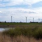 Windräder in Ochsenwerder -2