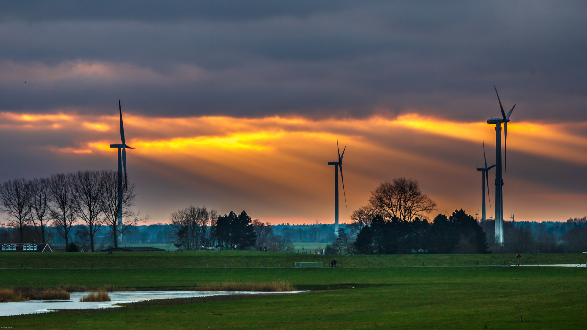 Windräder in Petersgroden