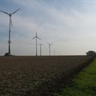 Windräder in Rheinhessen