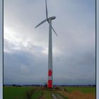 Windräder können auch schön aussehen