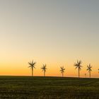 Windräder mal anders