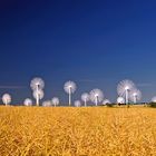 Windräder mal anders