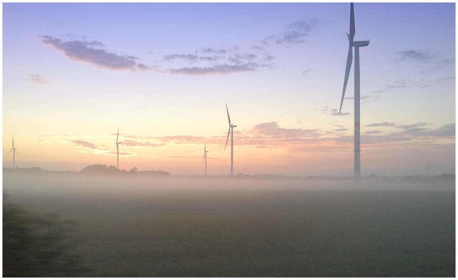 windräder mit bodennebel / handyknips