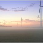 windräder mit bodennebel / handyknips