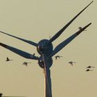 Windräder mit Schwänen