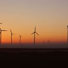 Windräder morgens bei Drentwede