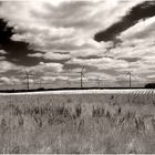 Windräder unter wolkigem Himmel