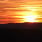 Windräder vor Sonnenuntergang