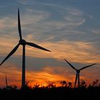 Windräder (Windenergieanlagen) im Sonnenuntergang