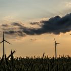 Windrädern auf ein Feld