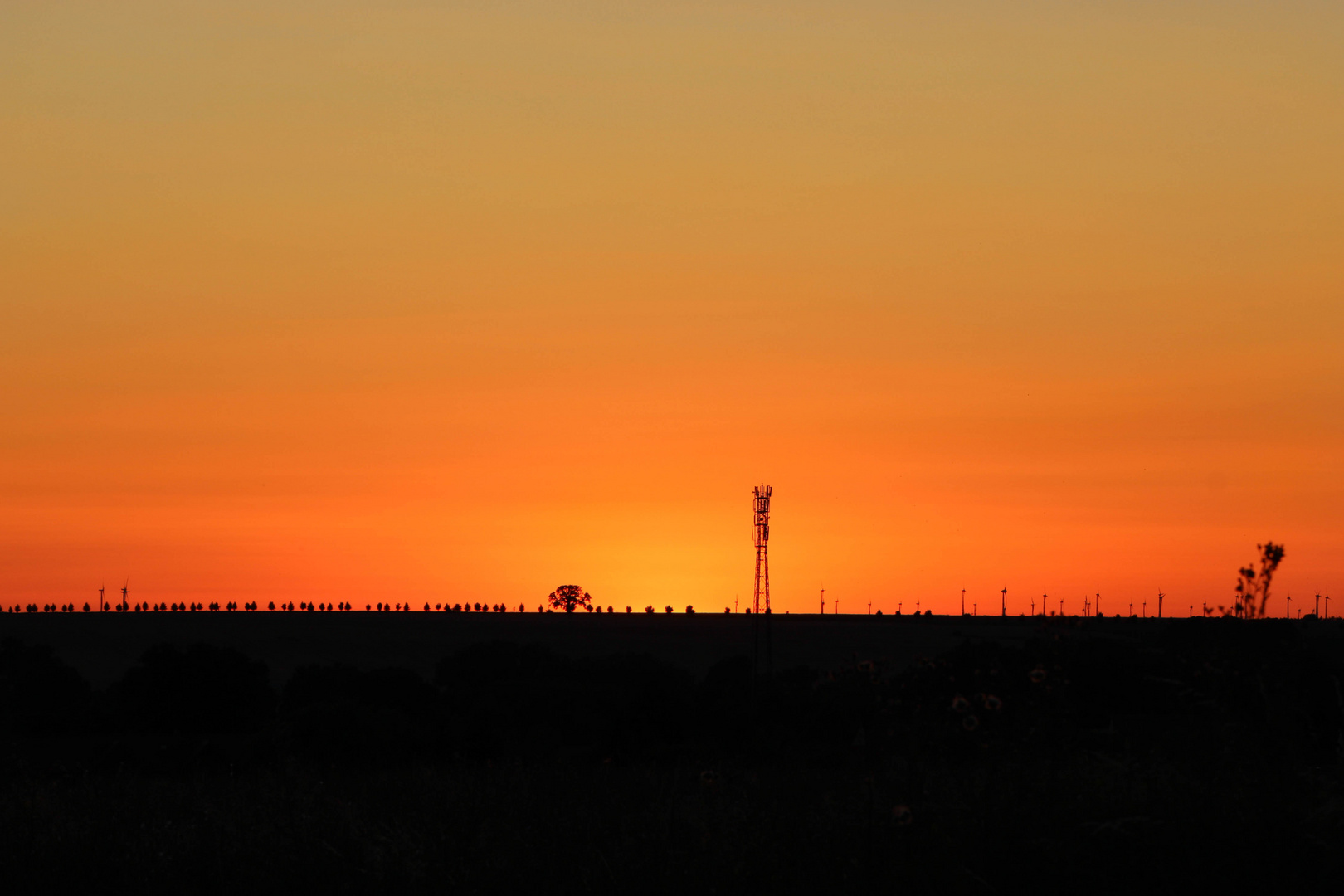 Windrädersafari