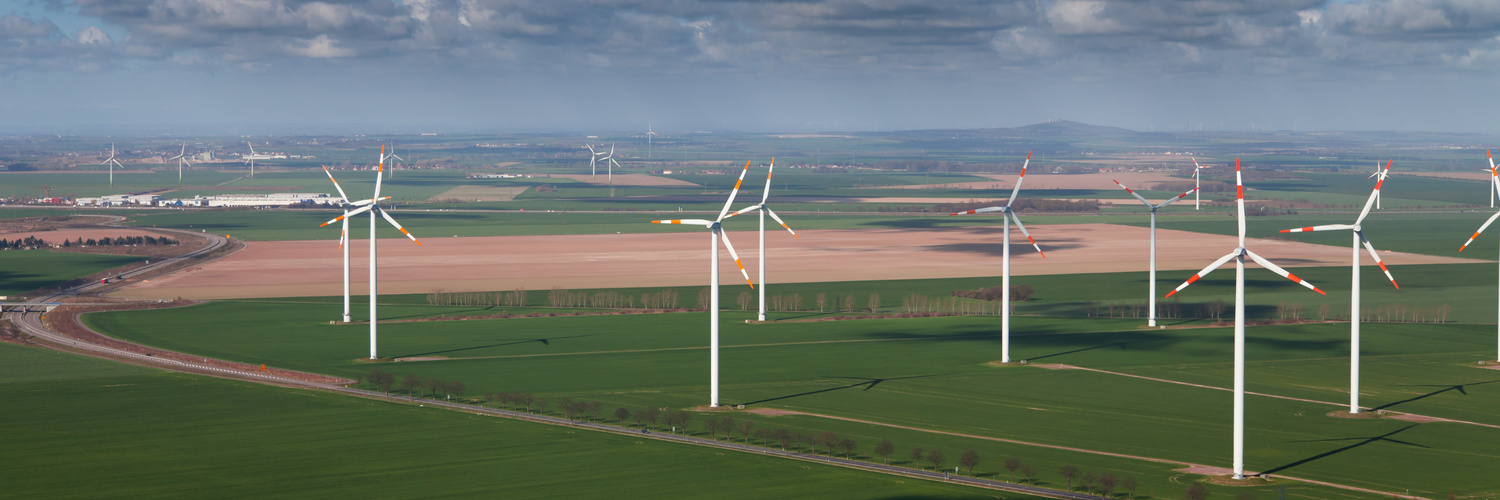 Windräderwald