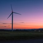 Windrand in der blauen Stunde