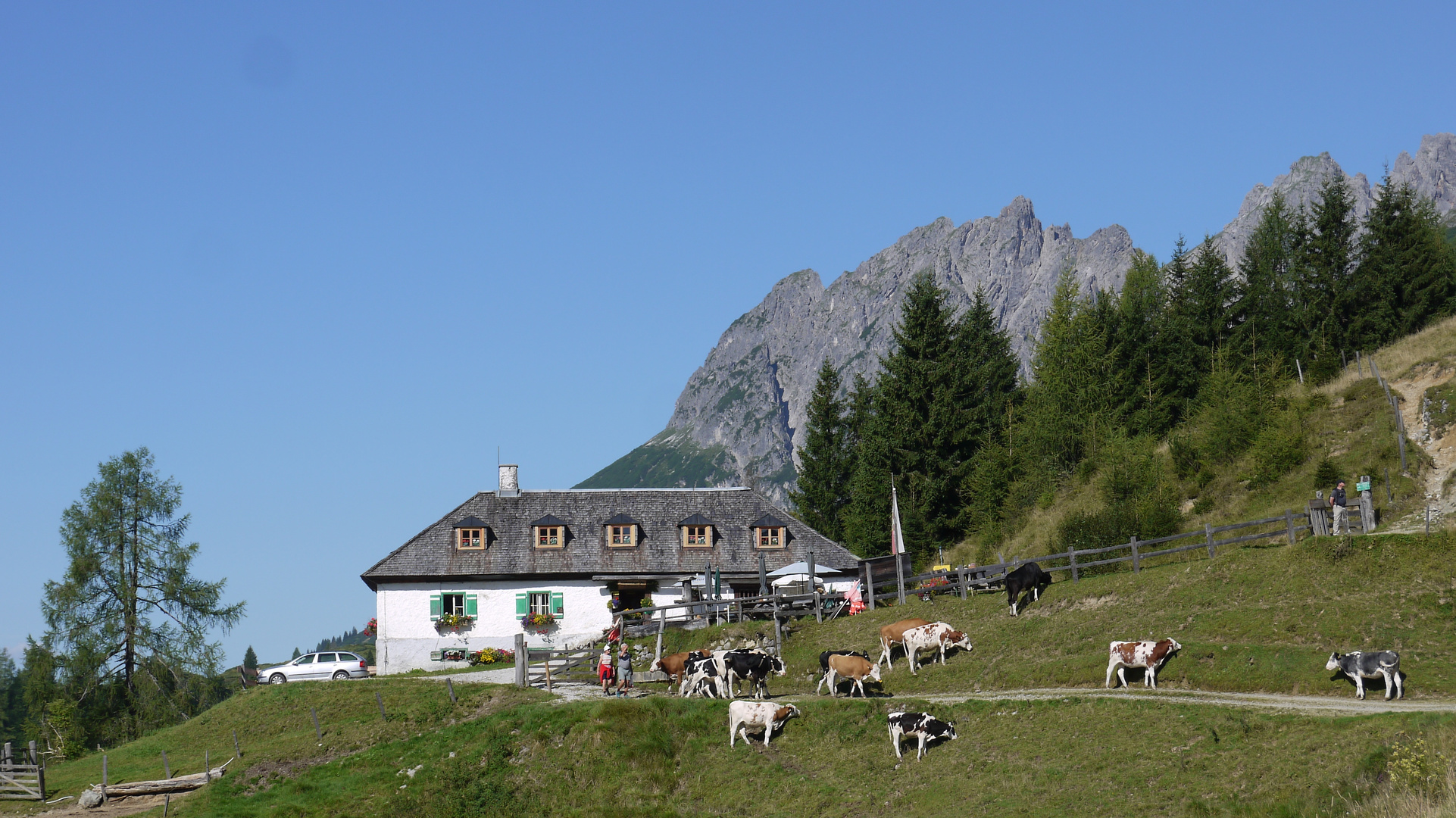 Windraucheggalm am Hochkönig