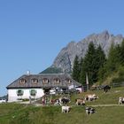 Windraucheggalm am Hochkönig