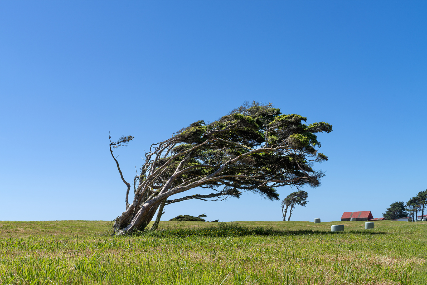 Windrichtung
