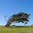 Windrichtung