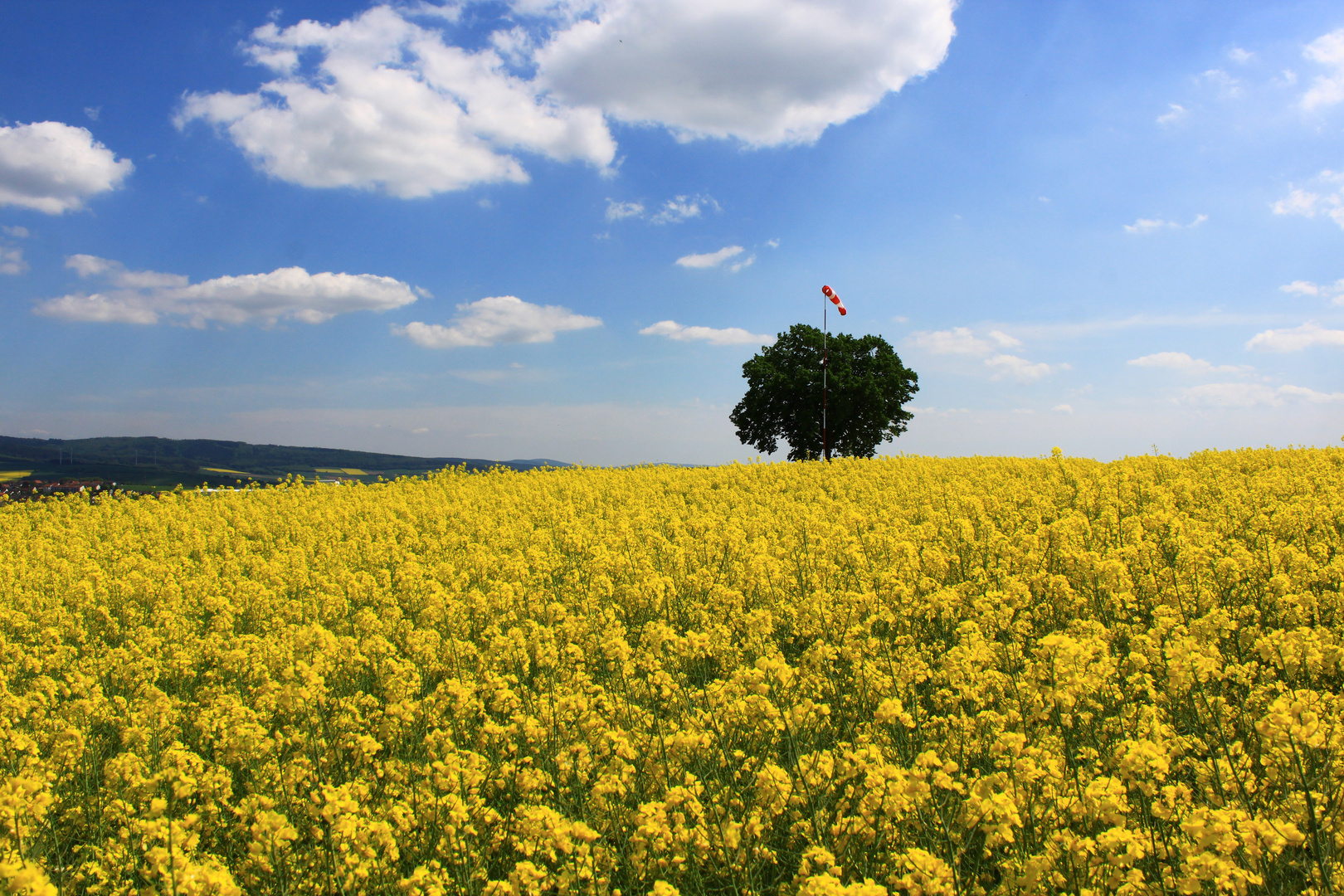 - Windrichtung...