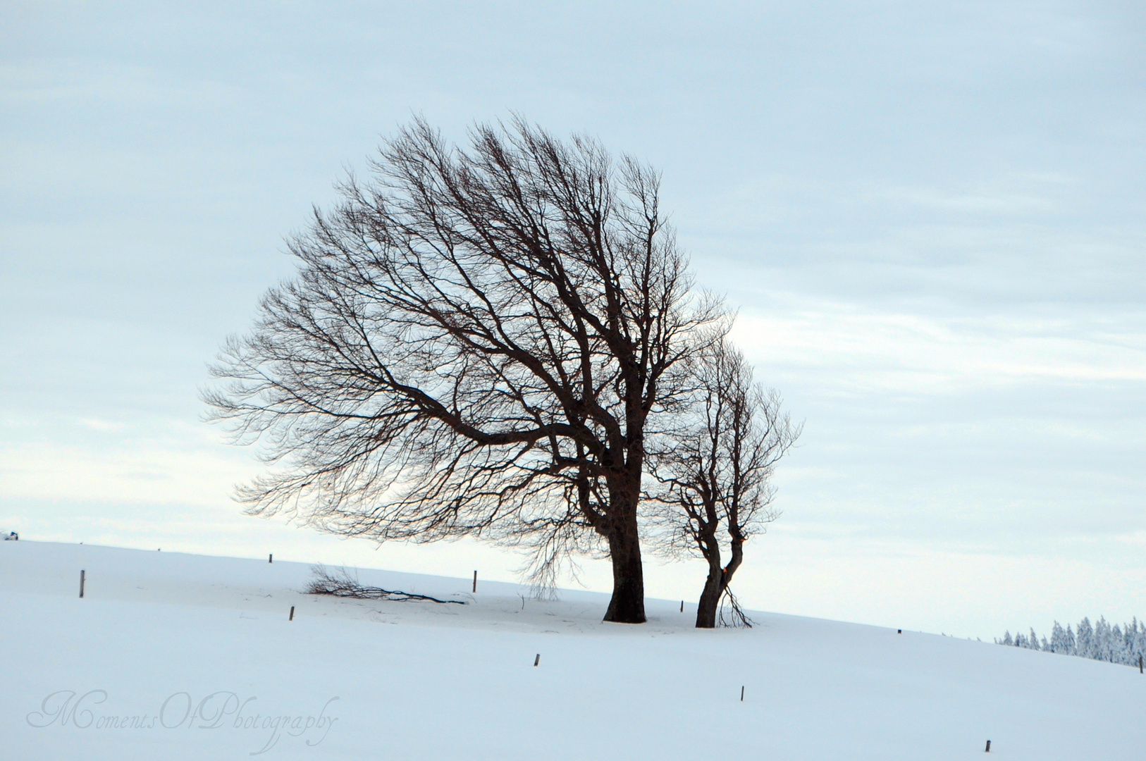 Windrichtung