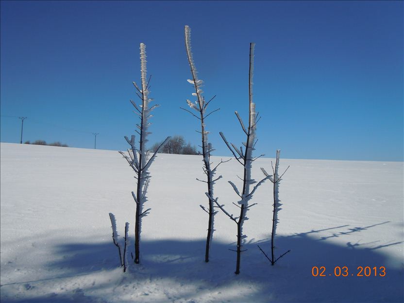 WINDRICHTUNG