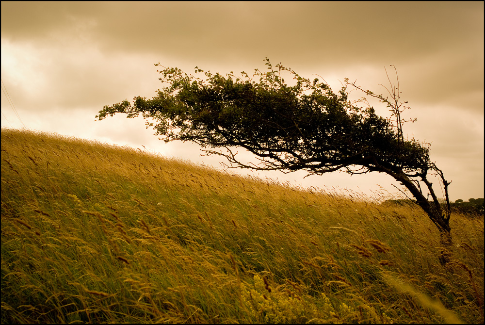 Windrichtung