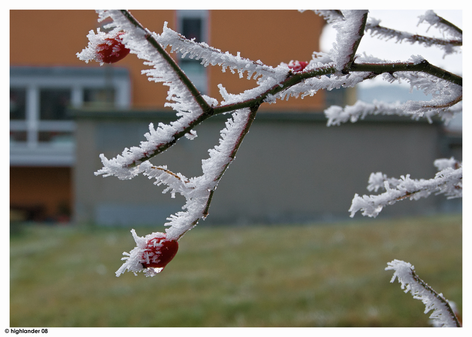 Windrichtung - Frost und Folgen