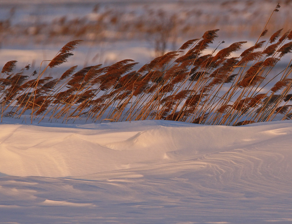 Wind's work