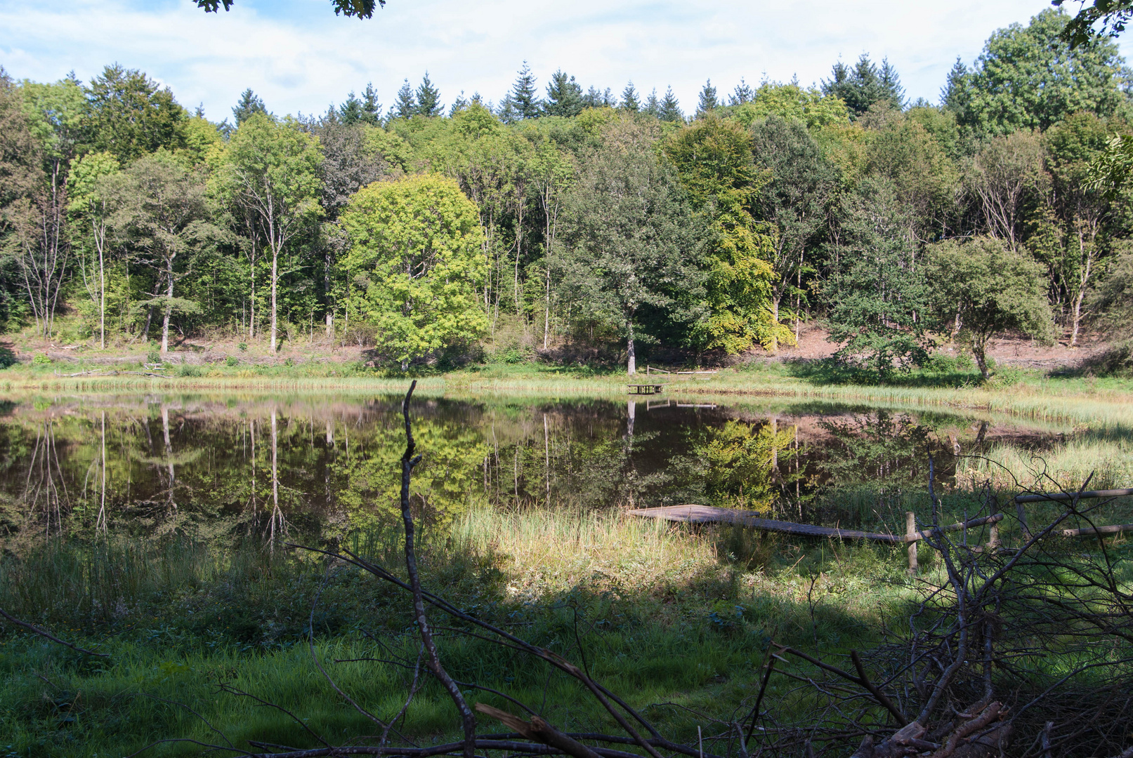 Windsbornkratersee bei Manderscheid