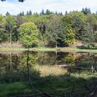 Windsbornkratersee bei Manderscheid