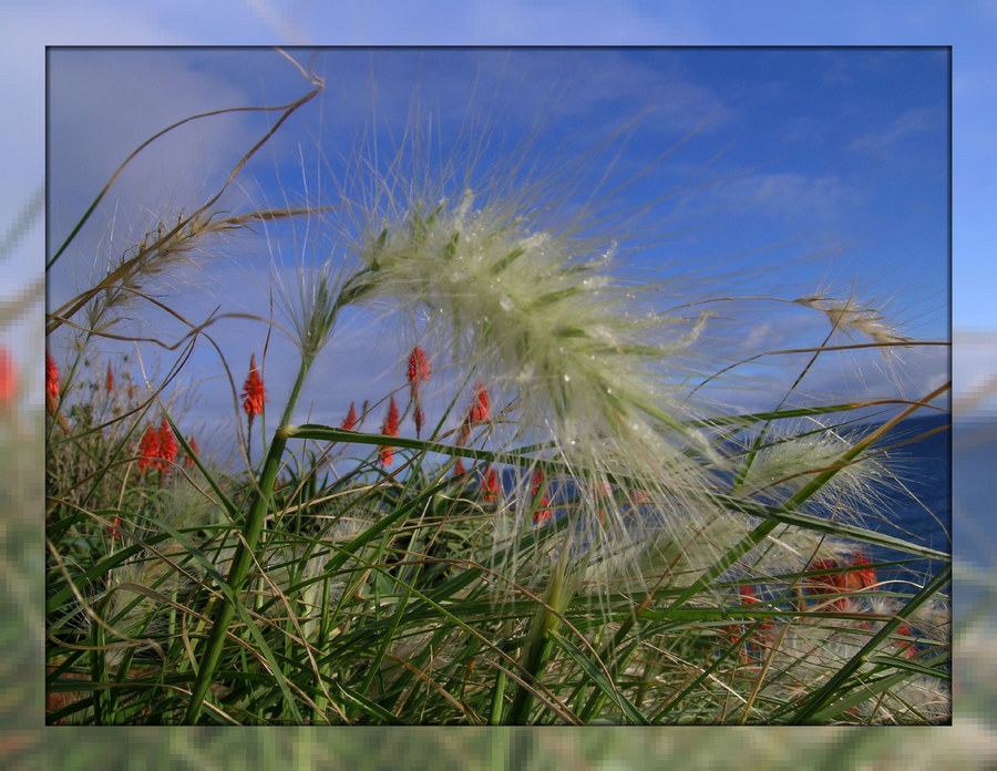 windschatten