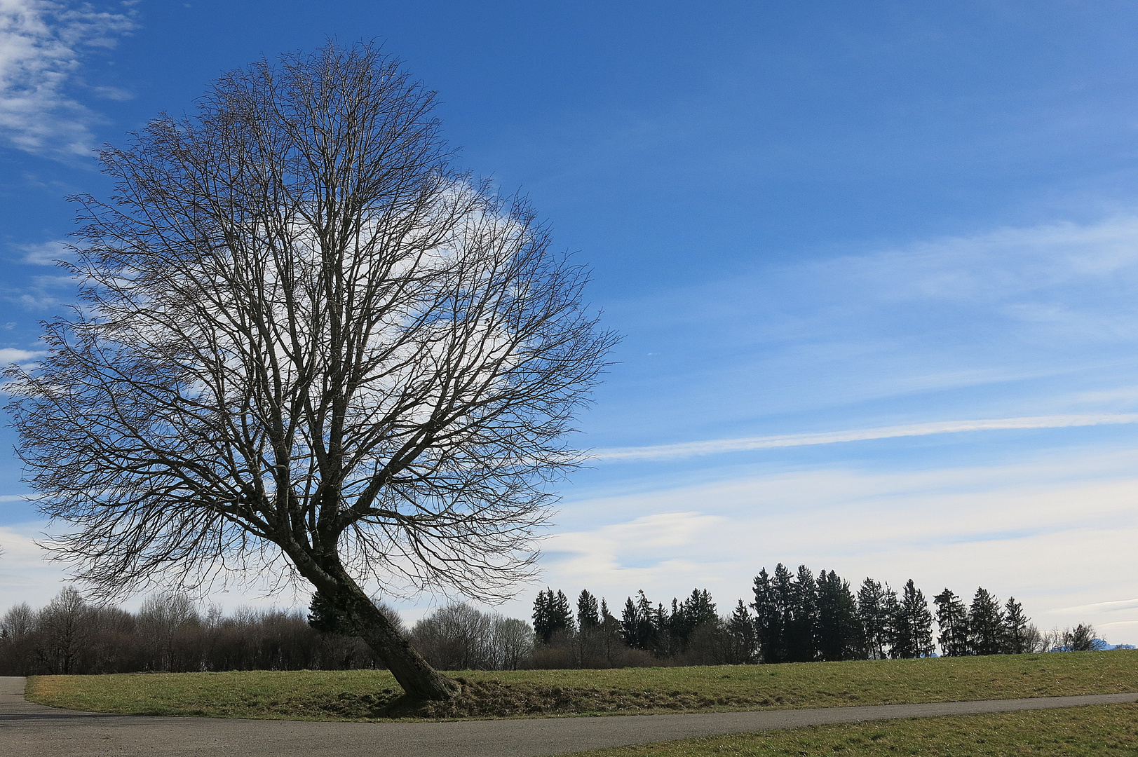 windschief