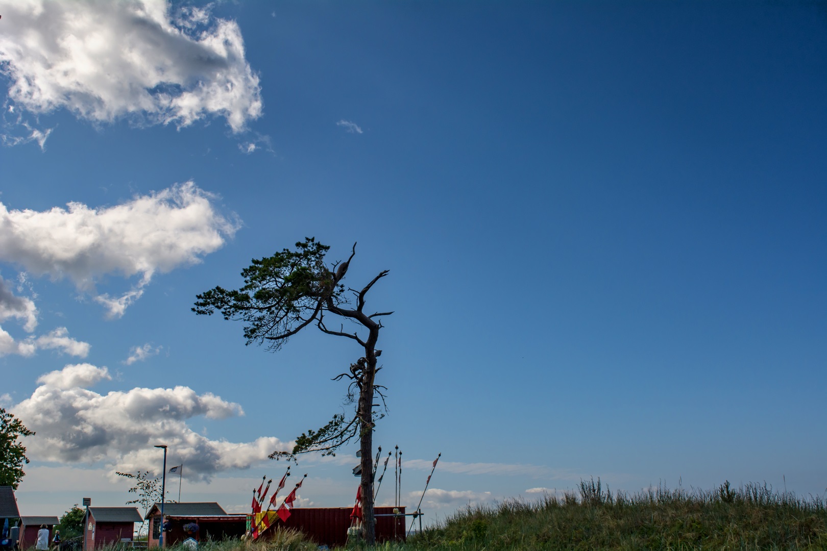 Windschief