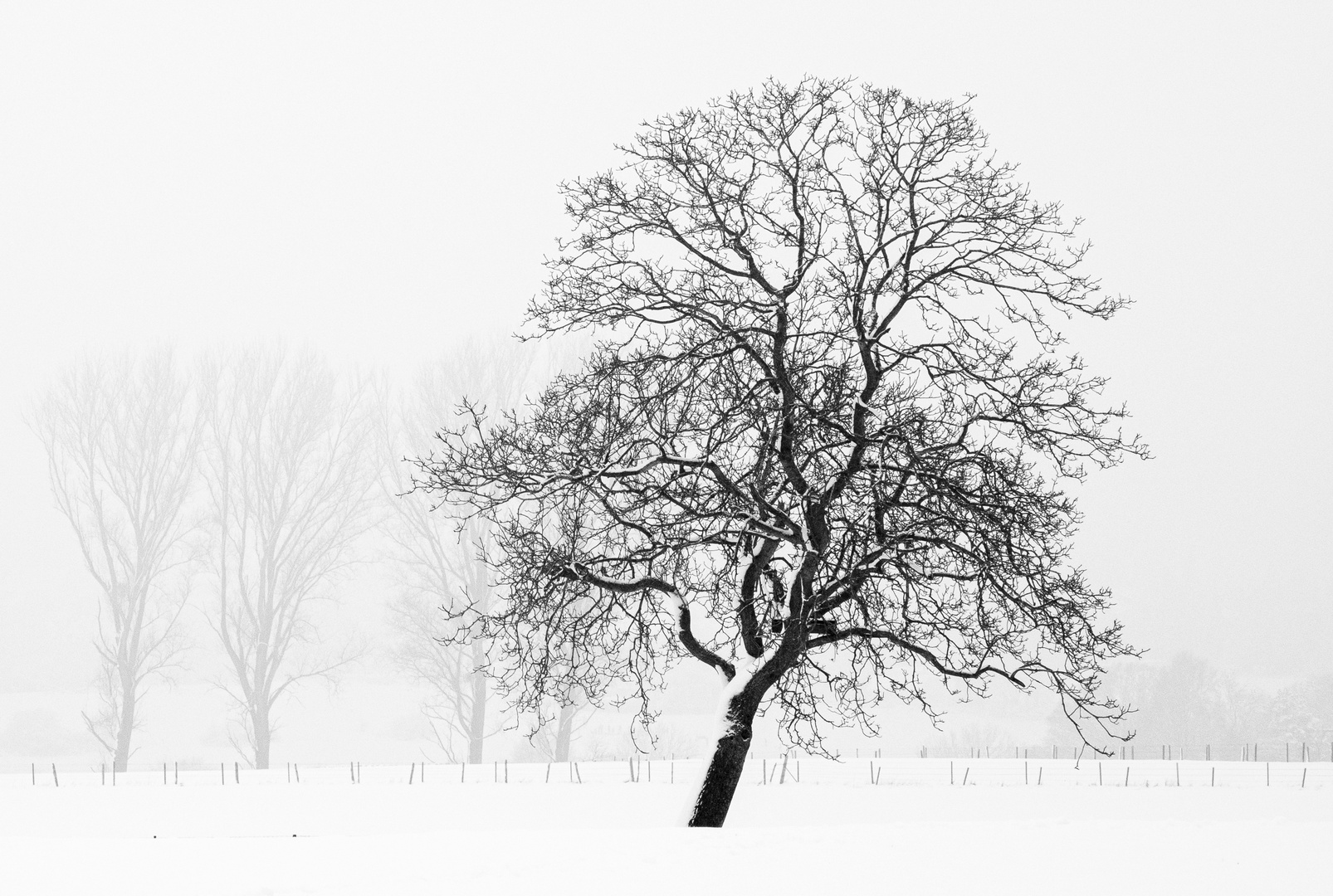 Windschief SW-Freitag 24.2.2023