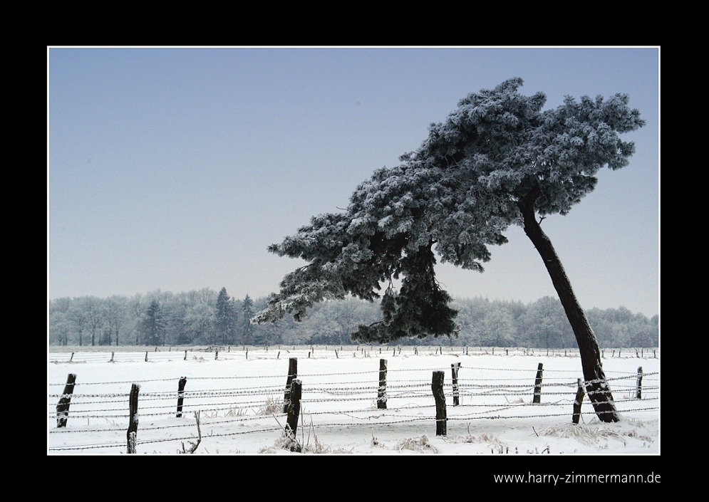 Windschief und befroren