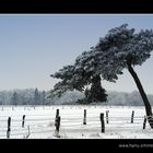 Windschief und befroren