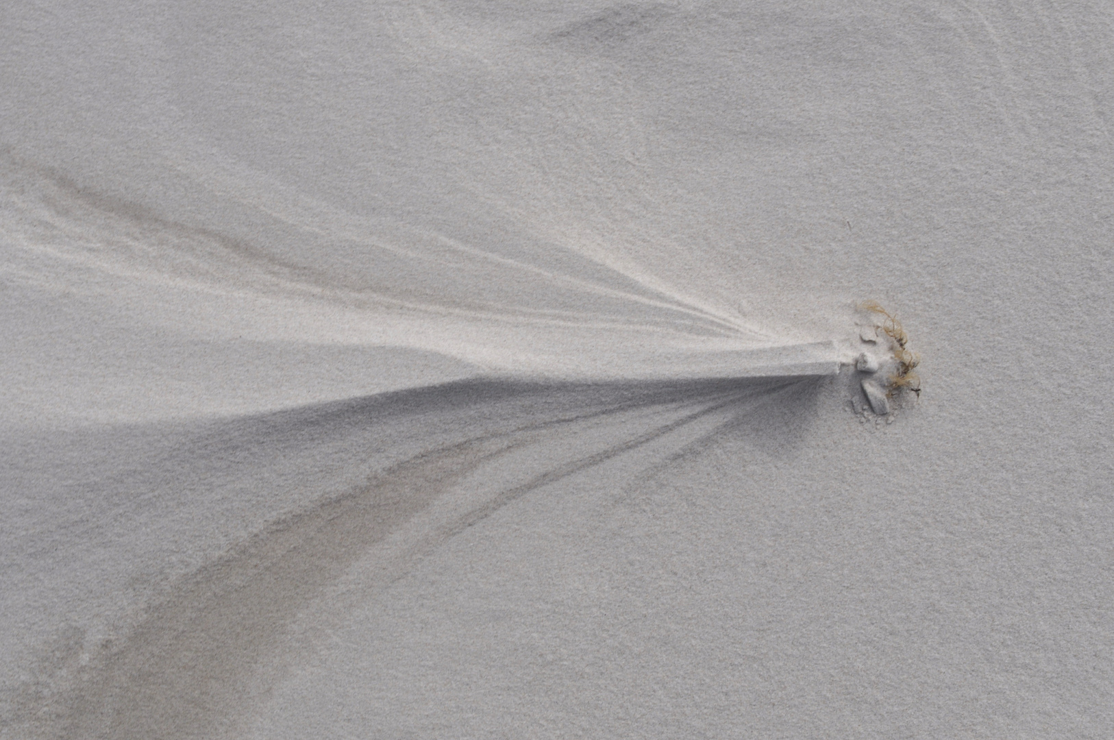 Windschliff auf dem Strand