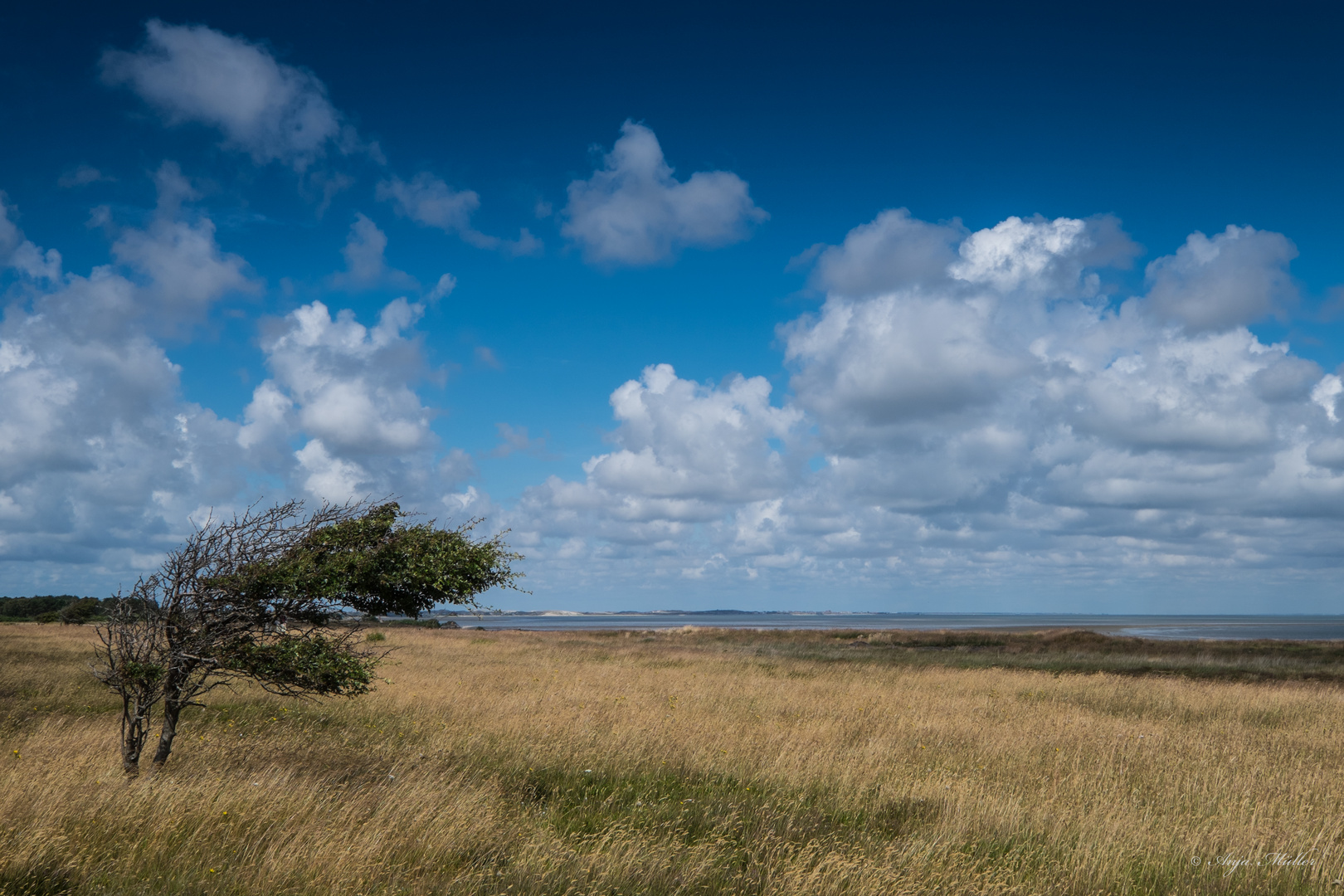 Windschur