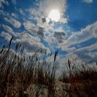 Windschutz am Strand