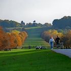 Windsor Great Park