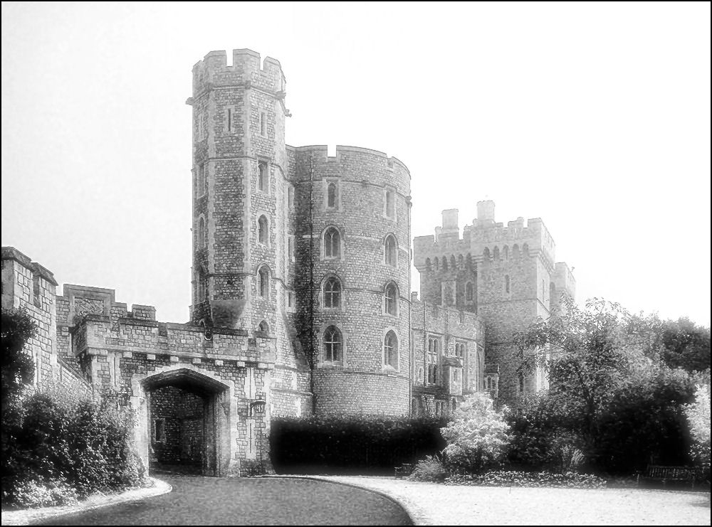 windsor3