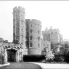 windsor3