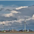 Windspargel und dramatische Wolken