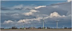 Windspargel und dramatische Wolken