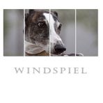 ~ Windspiel ~